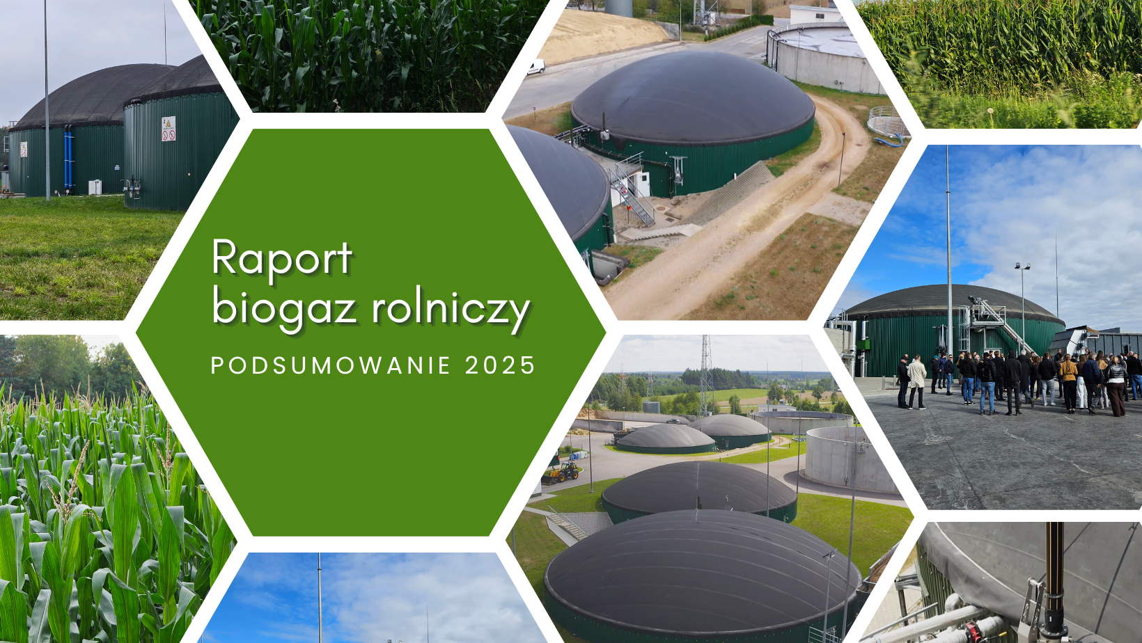 Dane dotyczące aktualnej sytuacji na rynku biogazu rolniczego w Polsce